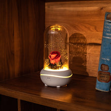 Load image into Gallery viewer, USB night light fragrance lamp