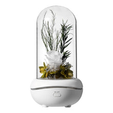 Load image into Gallery viewer, USB night light fragrance lamp
