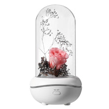 Load image into Gallery viewer, USB night light fragrance lamp