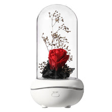 Load image into Gallery viewer, USB night light fragrance lamp